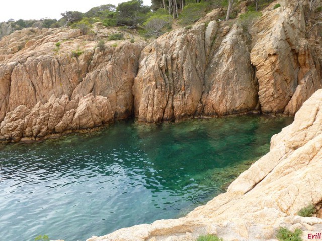 6a5d9-cala-peix-2.jpg