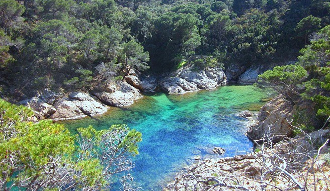 86a6b-La-idilica-Cala-Bona-en-Tossa-de-Mar.jpg